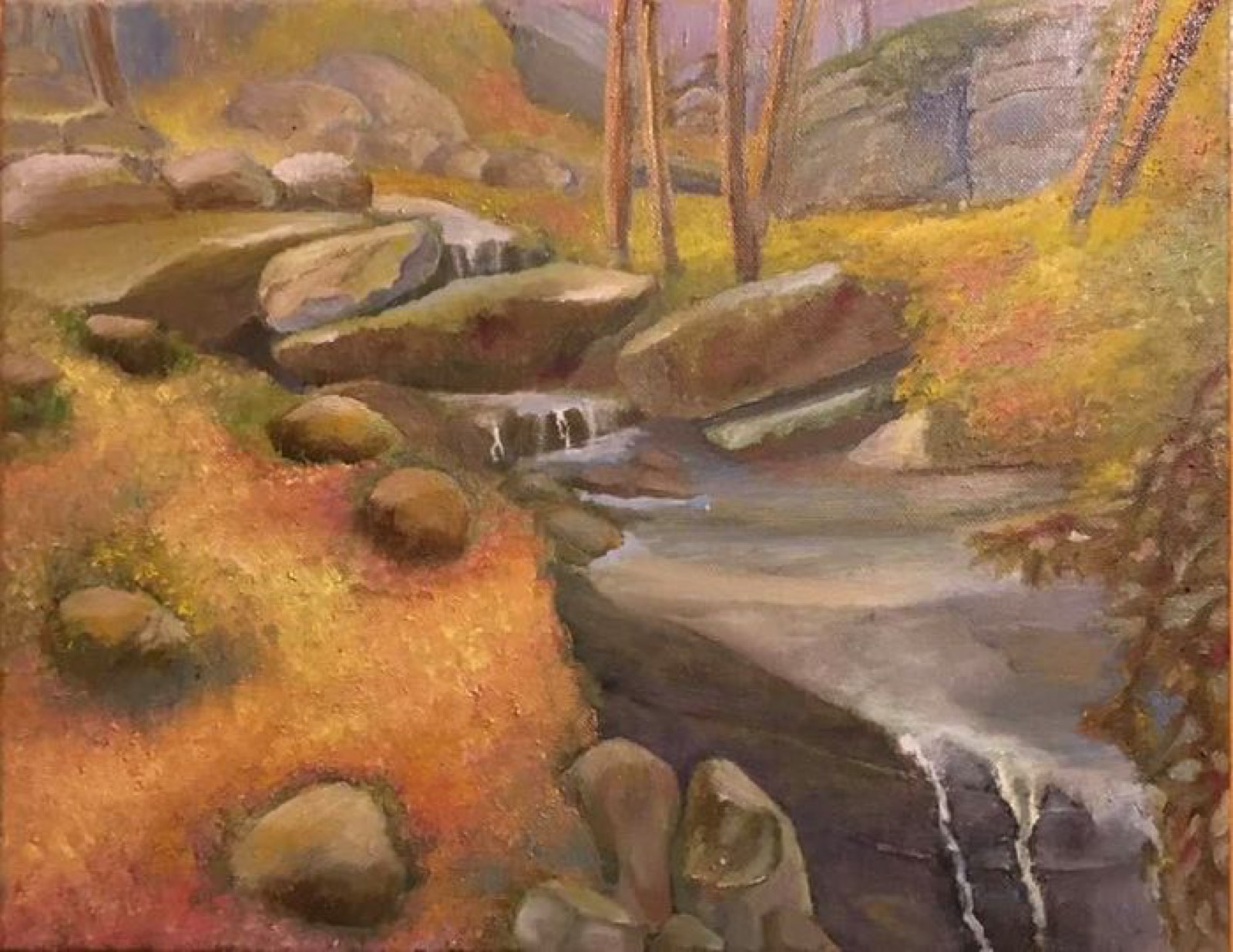 Clear Creek State Park Pennsylvania, oil