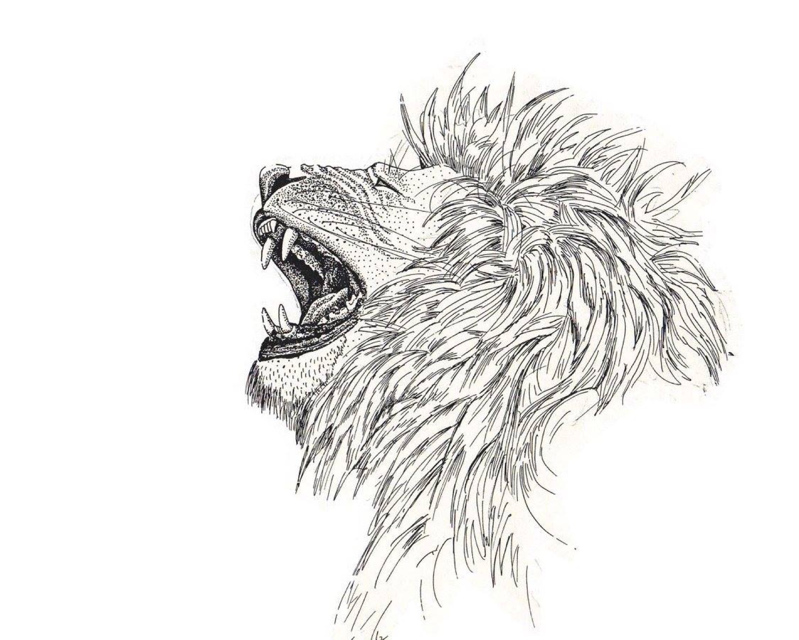 Lion's Roar, pen & ink